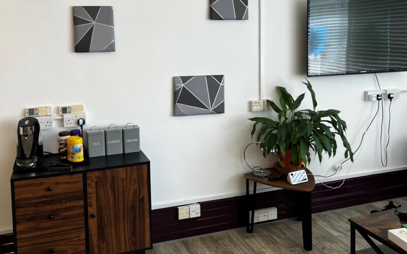 Room with TV and plant pot