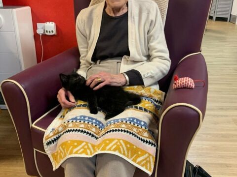 Pet therapy at ECL Colchester Marylands Day Centre