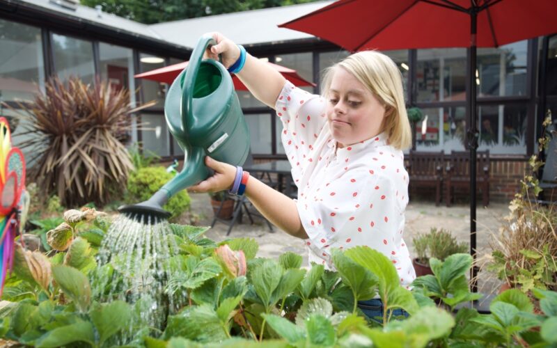Person watering plants